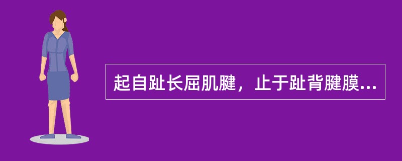 起自趾长屈肌腱，止于趾背腱膜的肌是