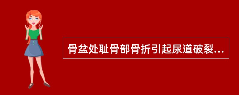 骨盆处耻骨部骨折引起尿道破裂，尾骨骨折引起直肠破裂，均为A、闭合性骨折B、开放性