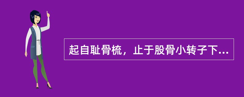 起自耻骨梳，止于股骨小转子下方的肌是