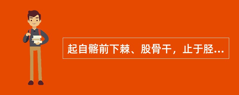 起自髂前下棘、股骨干，止于胫骨粗隆的肌是