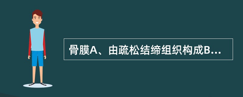 骨膜A、由疏松结缔组织构成B、富含血管，神经稀少C、骨的表面都有骨膜被覆D、浅层