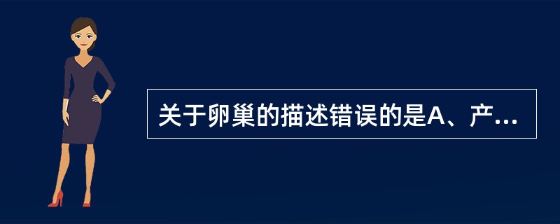 关于卵巢的描述错误的是A、产生卵子，并分泌女性激素B、内侧面与小肠相邻C、上端连