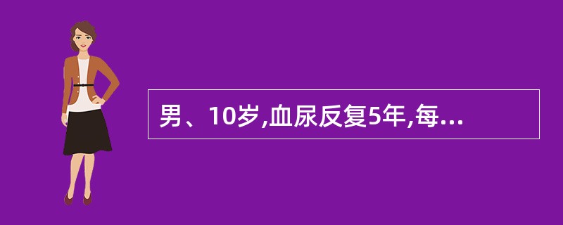 男、10岁,血尿反复5年,每遇感冒或劳累就出现洗肉水色血尿。体检:眼睑轻微水肿,