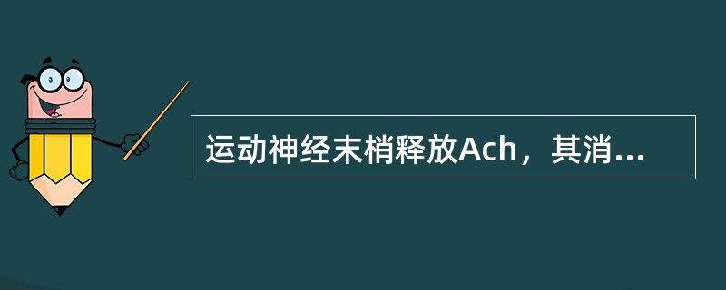 运动神经末梢释放Ach，其消除的主要途径是A、吸收入血，胆碱酯酶降解B、通过接头