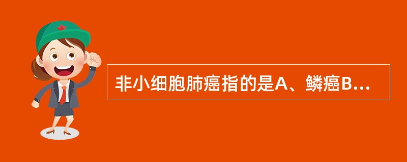 非小细胞肺癌指的是A、鳞癌B、鳞癌、腺癌C、鳞癌、腺癌、大细胞癌、肉瘤D、鳞癌、