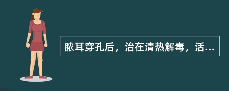 脓耳穿孔后，治在清热解毒，活血排脓，其方可选( )。