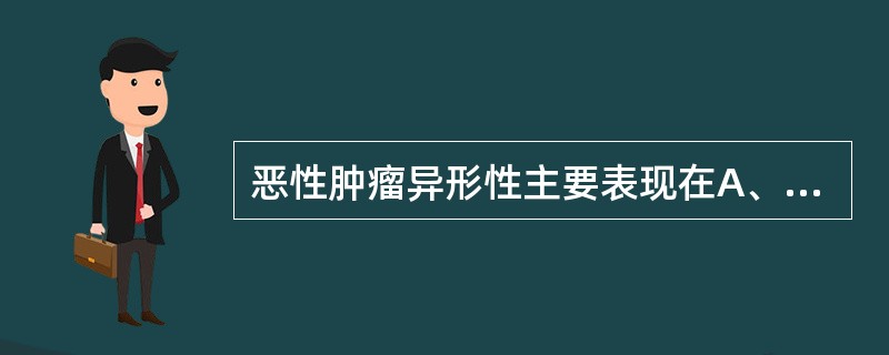 恶性肿瘤异形性主要表现在A、肿瘤细胞胞质嗜碱性B、可见核分裂C、肿瘤细胞核的多形