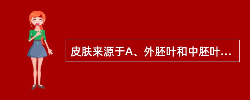 皮肤来源于A、外胚叶和中胚叶B、外胚叶和内胚叶C、中胚叶和内胚叶D、外胚叶E、中