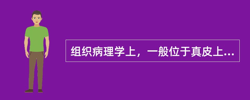 组织病理学上，一般位于真皮上部的痣细胞多属于( )A、透明痣细胞B、上皮样痣细胞