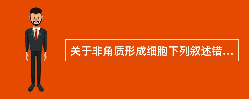 关于非角质形成细胞下列叙述错误的是A、包括黑素细胞、朗格汉斯细胞和Merkel细