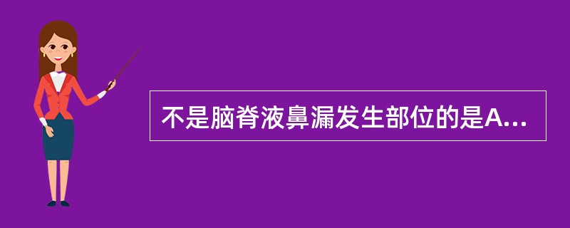 不是脑脊液鼻漏发生部位的是A、筛骨骨板B、蝶窦顶壁C、额窦后壁D、嗅裂E、下鼻道