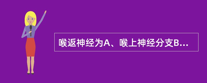 喉返神经为A、喉上神经分支B、迷走神经分支C、舌下神经分支D、舌咽神经分支E、副