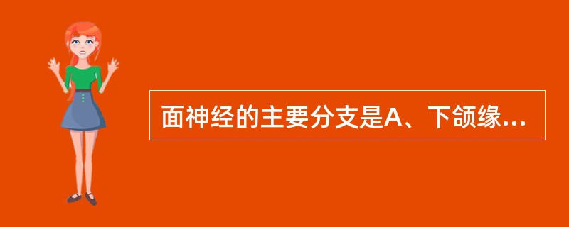 面神经的主要分支是A、下颌缘支、颈支、颊支、颞支、颧支B、下颌缘支、颧面支、颊支