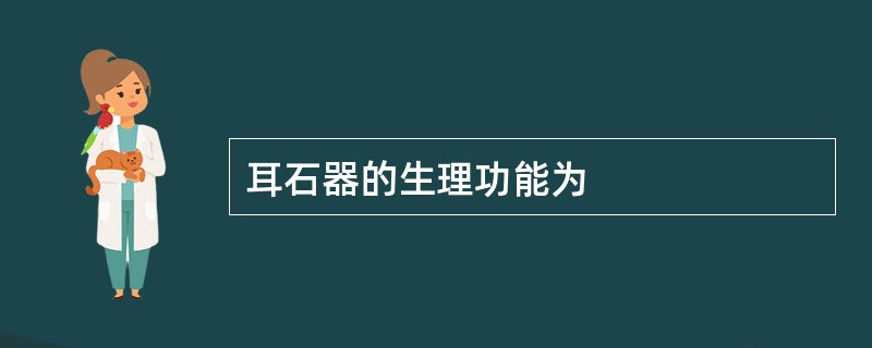 耳石器的生理功能为