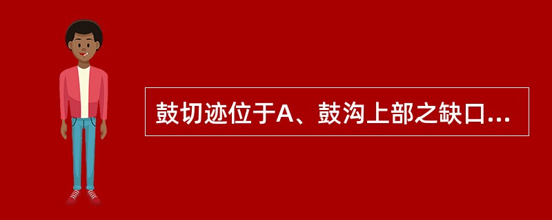 鼓切迹位于A、鼓沟上部之缺口B、鼓沟后部之缺口C、鼓沟前部之缺口D、鼓沟下部之缺