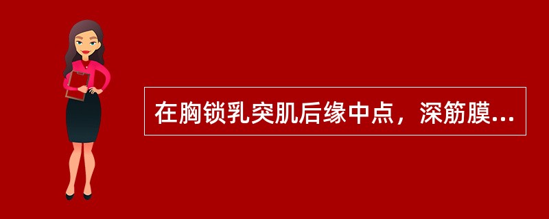 在胸锁乳突肌后缘中点，深筋膜浅面的枕小、耳大、颈横与锁骨上神经来自于A、副神经B