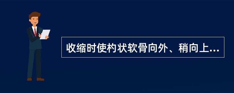 收缩时使杓状软骨向外、稍向上，使声带外展，声门变大