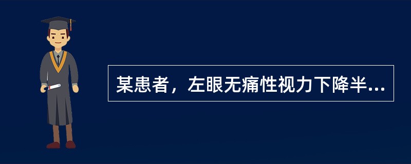 某患者，左眼无痛性视力下降半年就诊，检查左眼视力为眼前手动，眼球前段无异常，眼底