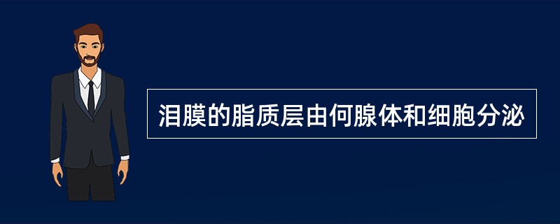 泪膜的脂质层由何腺体和细胞分泌