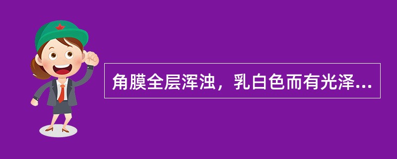 角膜全层浑浊，乳白色而有光泽，表面平坦，完全不透明。属于何种瘢痕性角膜浑浊A、角