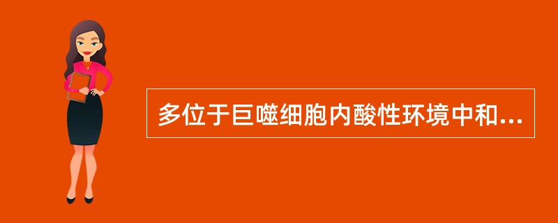 多位于巨噬细胞内酸性环境中和肺空洞壁坏死组织中为( )