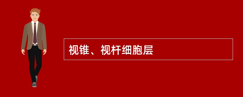 视锥、视杆细胞层