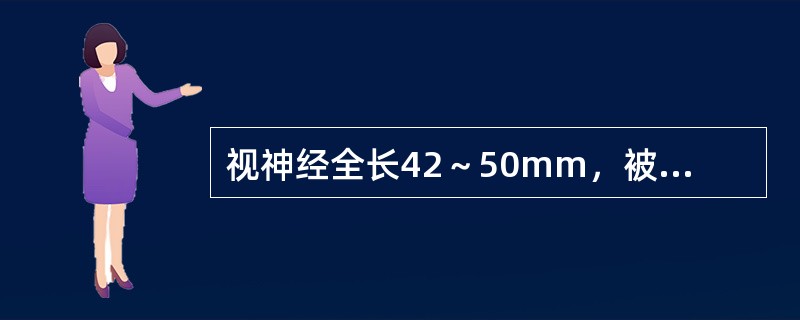 视神经全长42～50mm，被分为4段，不包括在内的是A、颅内段B、眶内段C、管内