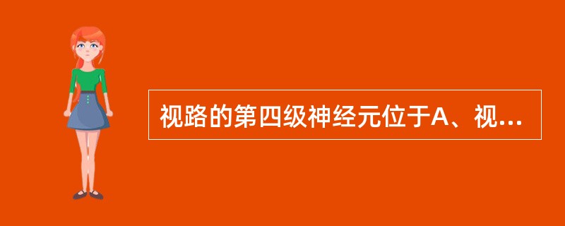 视路的第四级神经元位于A、视皮质B、视放射C、外侧膝状体D、视交叉E、视网膜 -