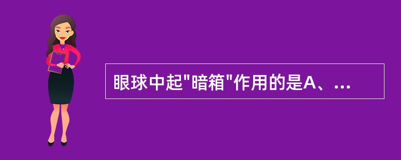 眼球中起"暗箱"作用的是A、角膜B、巩膜C、葡萄膜D、视网膜E、巩膜和葡萄膜 -