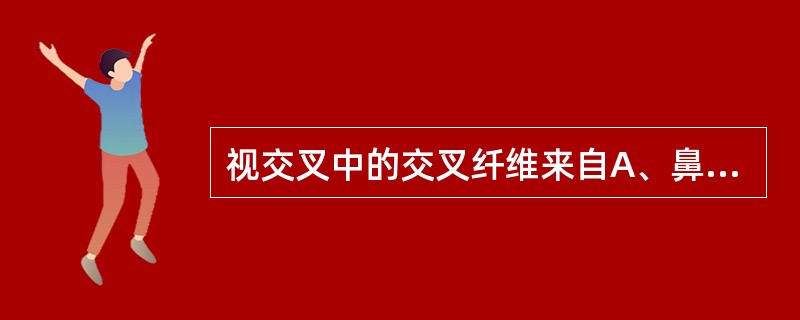 视交叉中的交叉纤维来自A、鼻侧视网膜的纤维B、视网膜的纤维C、上方视网膜的纤维D