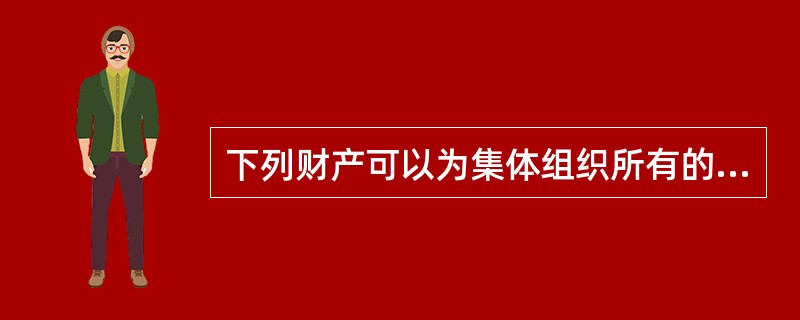 下列财产可以为集体组织所有的是( )。