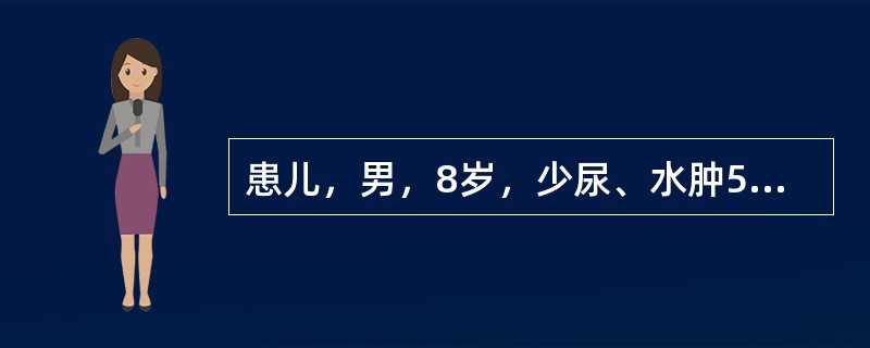 患儿，男，8岁，少尿、水肿5天，病前2周有发热、咽痛史。尿蛋白（£«£«），红细