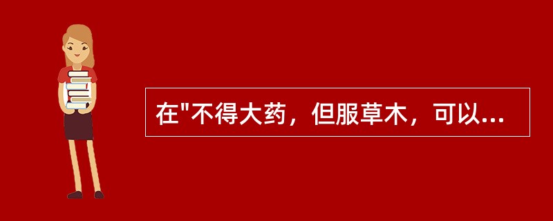 在"不得大药，但服草木，可以差于常人，不能延其大限也"中，"大限"之义为( )