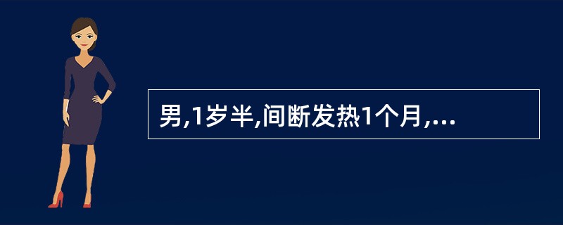 男,1岁半,间断发热1个月,体检:颈淋巴结肿大如蚕豆大,肝肋下5cm,脾肋下4