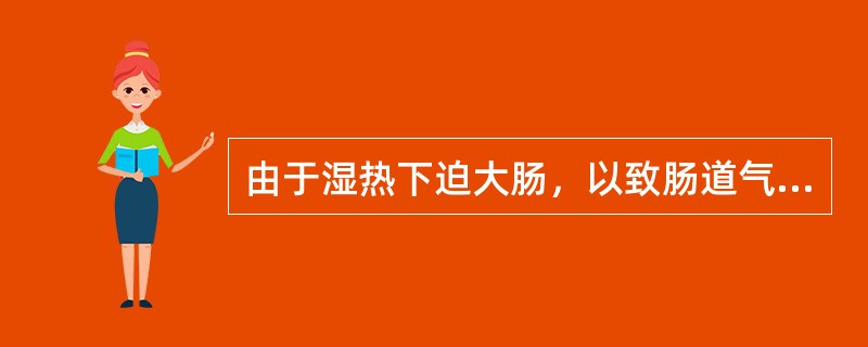 由于湿热下迫大肠，以致肠道气机不利，经络阻滞，瘀血浊气凝聚而成者是：