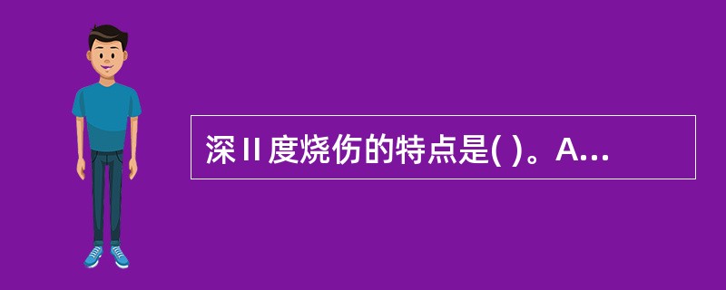 深Ⅱ度烧伤的特点是( )。A、伤及真皮深层，残留皮肤附件B、痛觉消失，皮温低C、