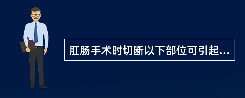 肛肠手术时切断以下部位可引起肛门失禁（）A、肛门括约肌B、肛提肌C、肛管直肠环