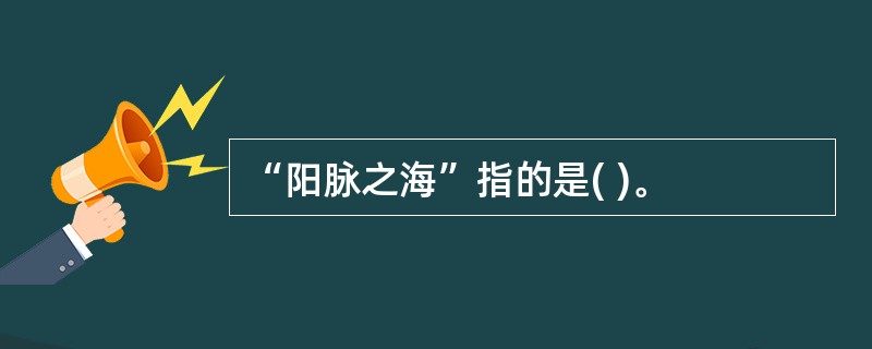 “阳脉之海”指的是( )。
