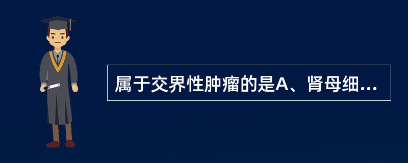 属于交界性肿瘤的是A、肾母细胞瘤B、精原细胞瘤C、唾液腺混合瘤D、霍奇金病E、子