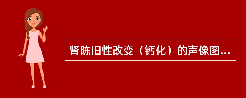 肾陈旧性改变（钙化）的声像图表现为