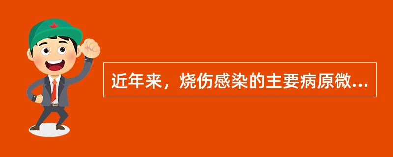 近年来，烧伤感染的主要病原微生物是A、革兰阴性杆菌B、革兰阳性杆菌C、真菌D、病