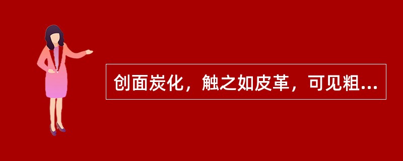 创面炭化，触之如皮革，可见粗大栓塞血管网，痛觉消失。治疗宜采取