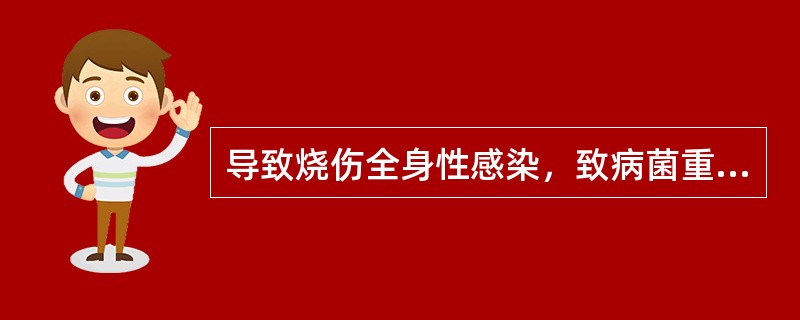 导致烧伤全身性感染，致病菌重要的内源性来源是( )。A、肠道B、呼吸道C、输液管