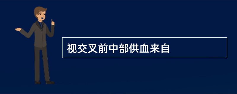 视交叉前中部供血来自