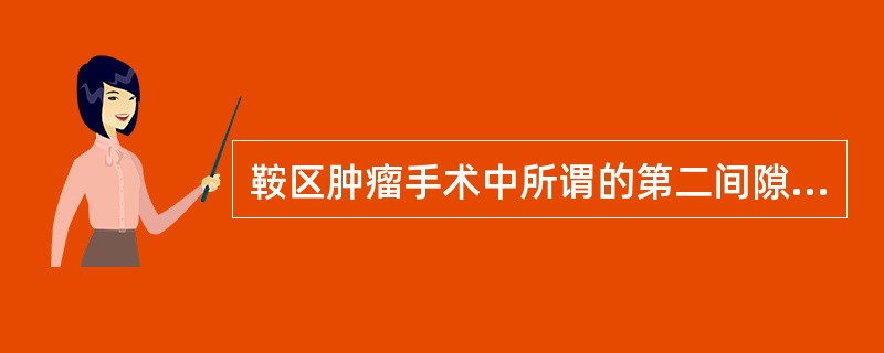 鞍区肿瘤手术中所谓的第二间隙是指