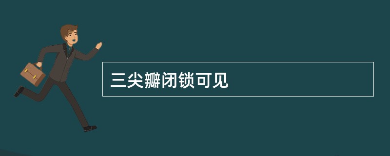 三尖瓣闭锁可见