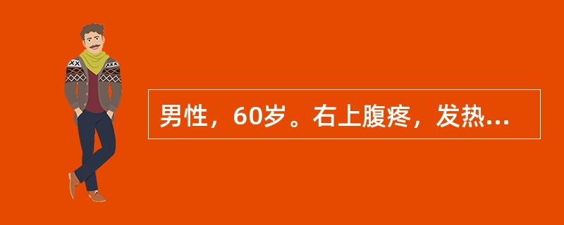 男性，60岁。右上腹疼，发热2天。实验室检查：白细胞和中性粒细胞均升高。超声检查