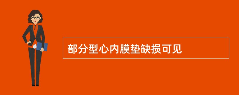 部分型心内膜垫缺损可见