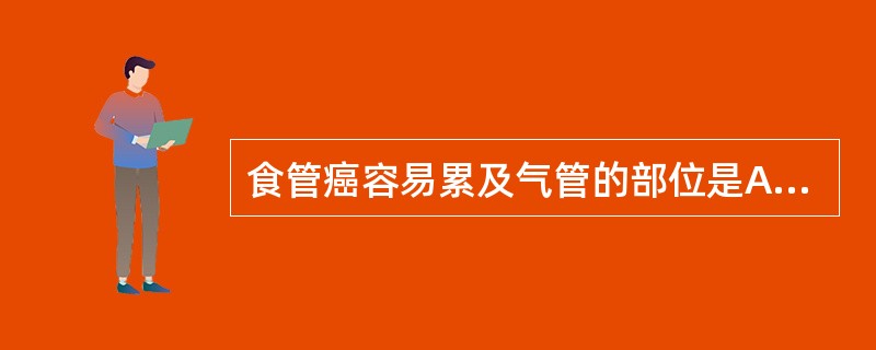 食管癌容易累及气管的部位是A、颈段B、上段C、中段D、下段E、贲门