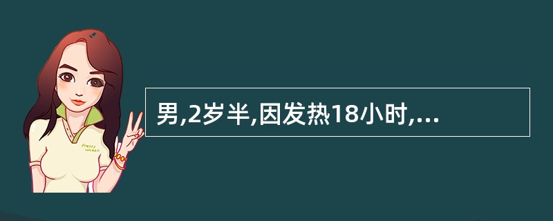 男,2岁半,因发热18小时,咳嗽,半小时前突然抽搐一次来诊,查体:T39.5℃,